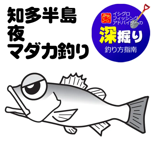 知多半島 夜マダカ釣り 深掘り 釣具のイシグロ 釣り情報サイト