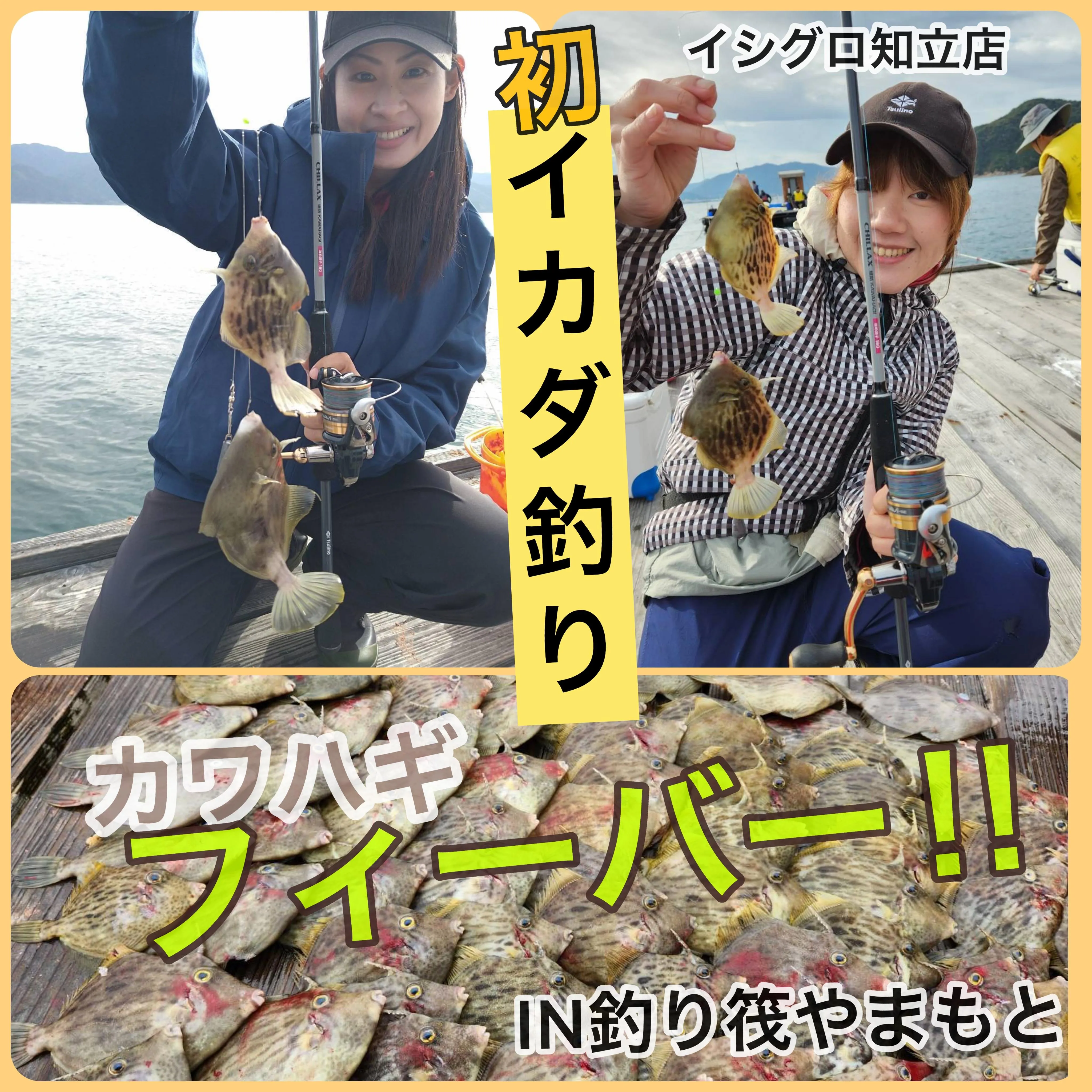 初 筏釣り』カワハギ100匹超え♬時々根魚♪イシグロ知立店｜釣具の