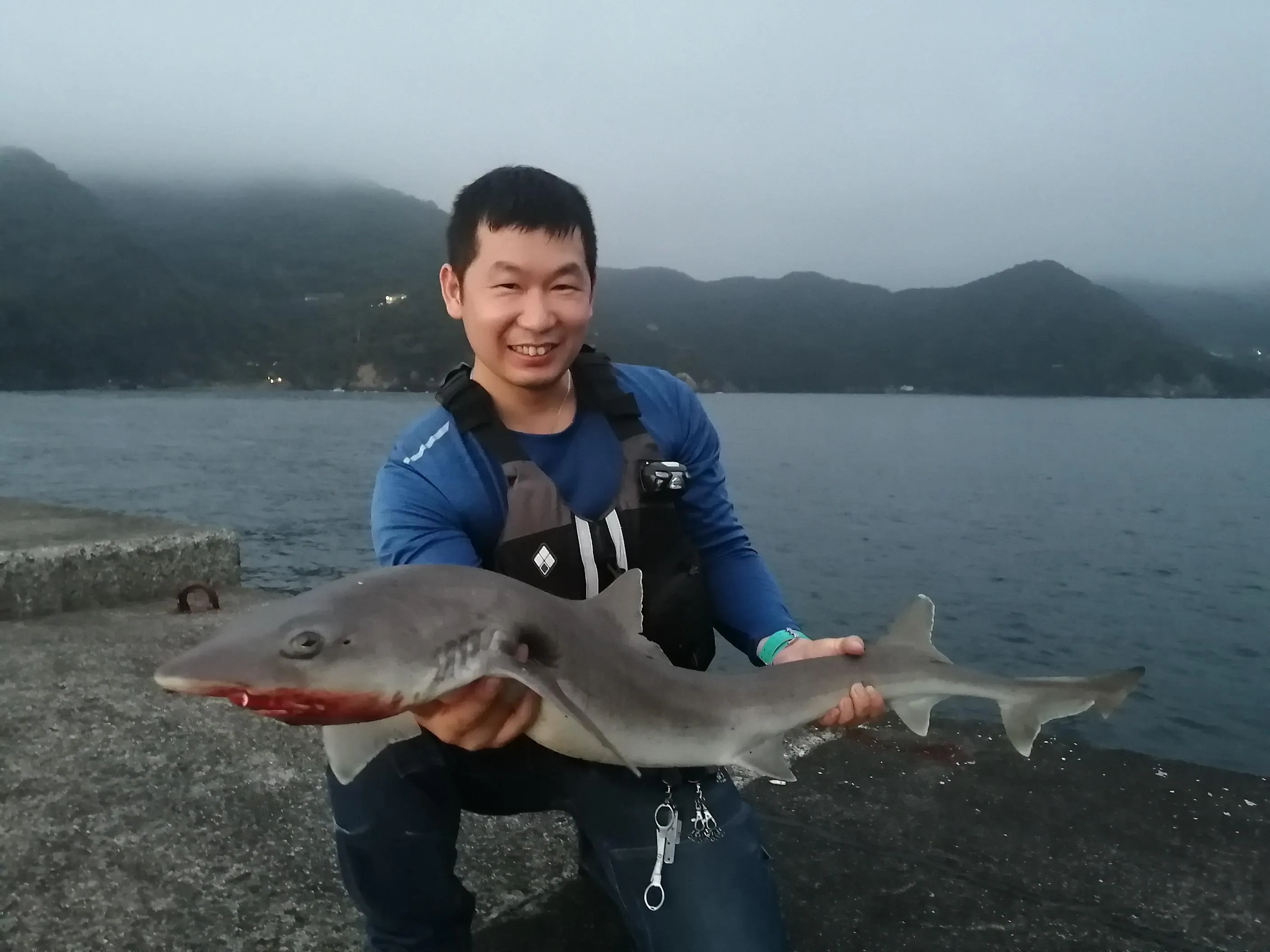 海水魚 エイラクブカ 一匹 - その他