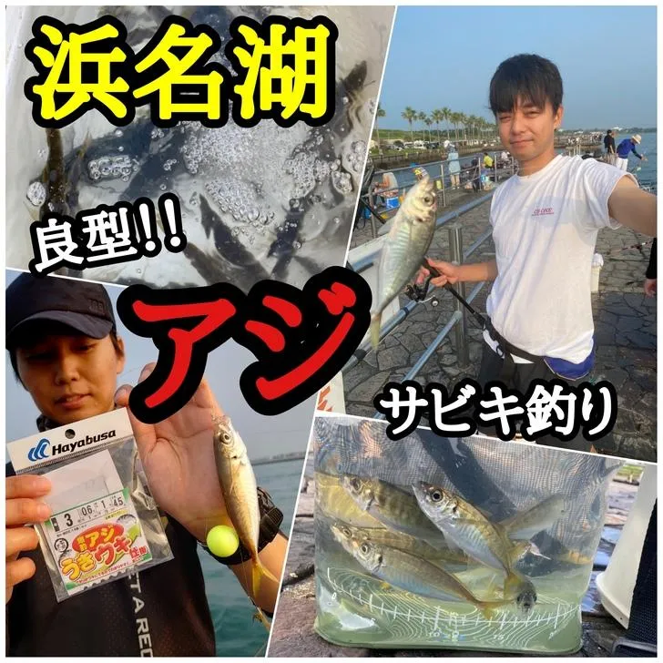 浜名湖に良型アジが回遊中 サビキ釣り好調 釣具のイシグロ 釣り情報サイト