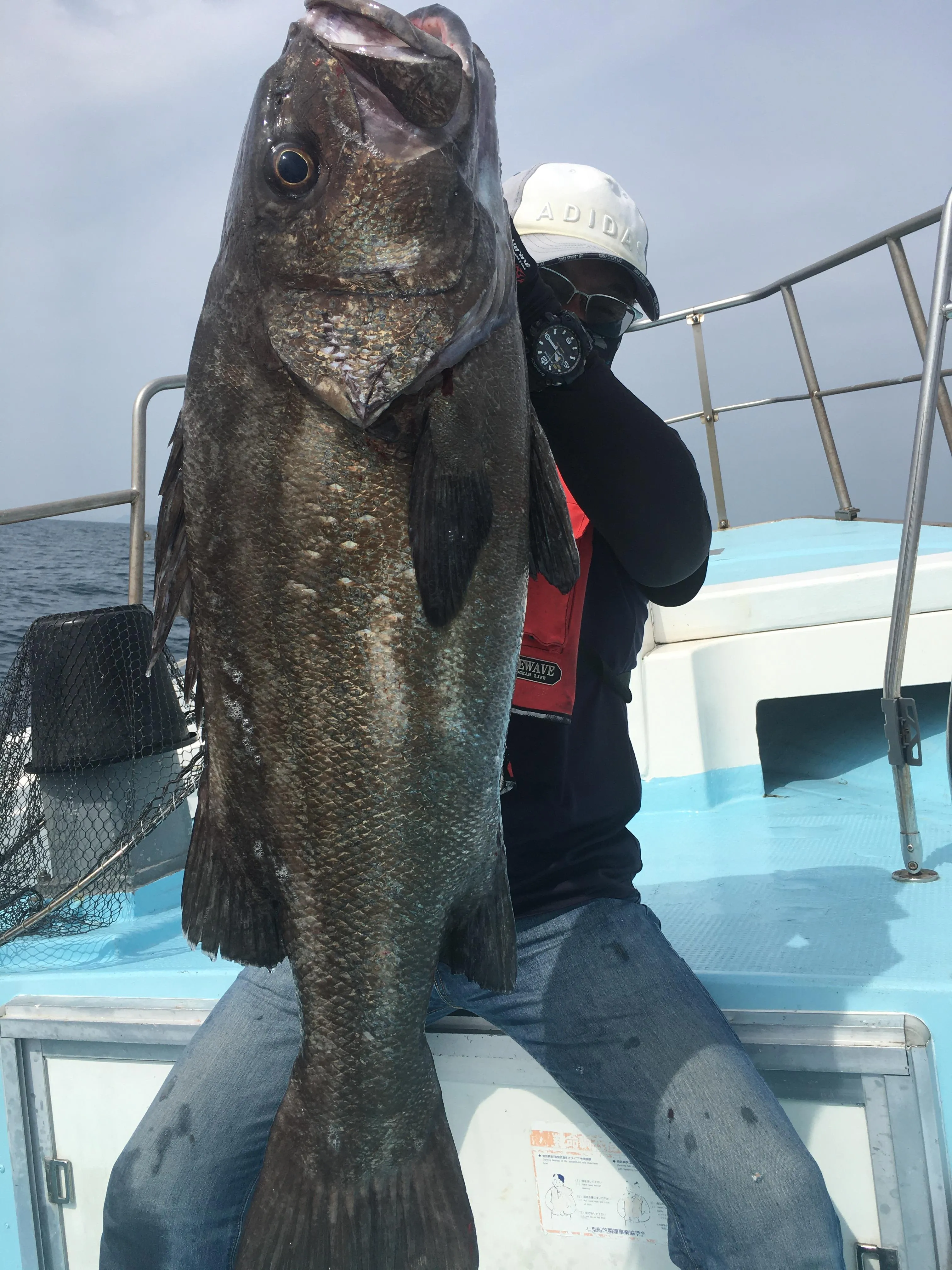 大物 中深海 スロージギング 駿河湾 遊漁船 大宝丸｜釣具のイシグロ |釣り情報サイト