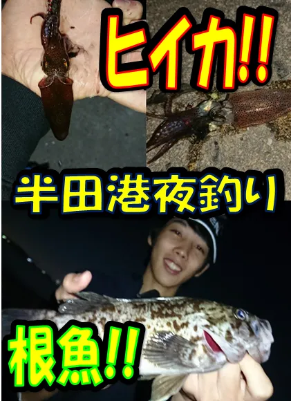 イシグロ半田店 夜釣り 半田港周辺ヒイカ 根魚釣れています 釣具のイシグロ 釣り情報サイト