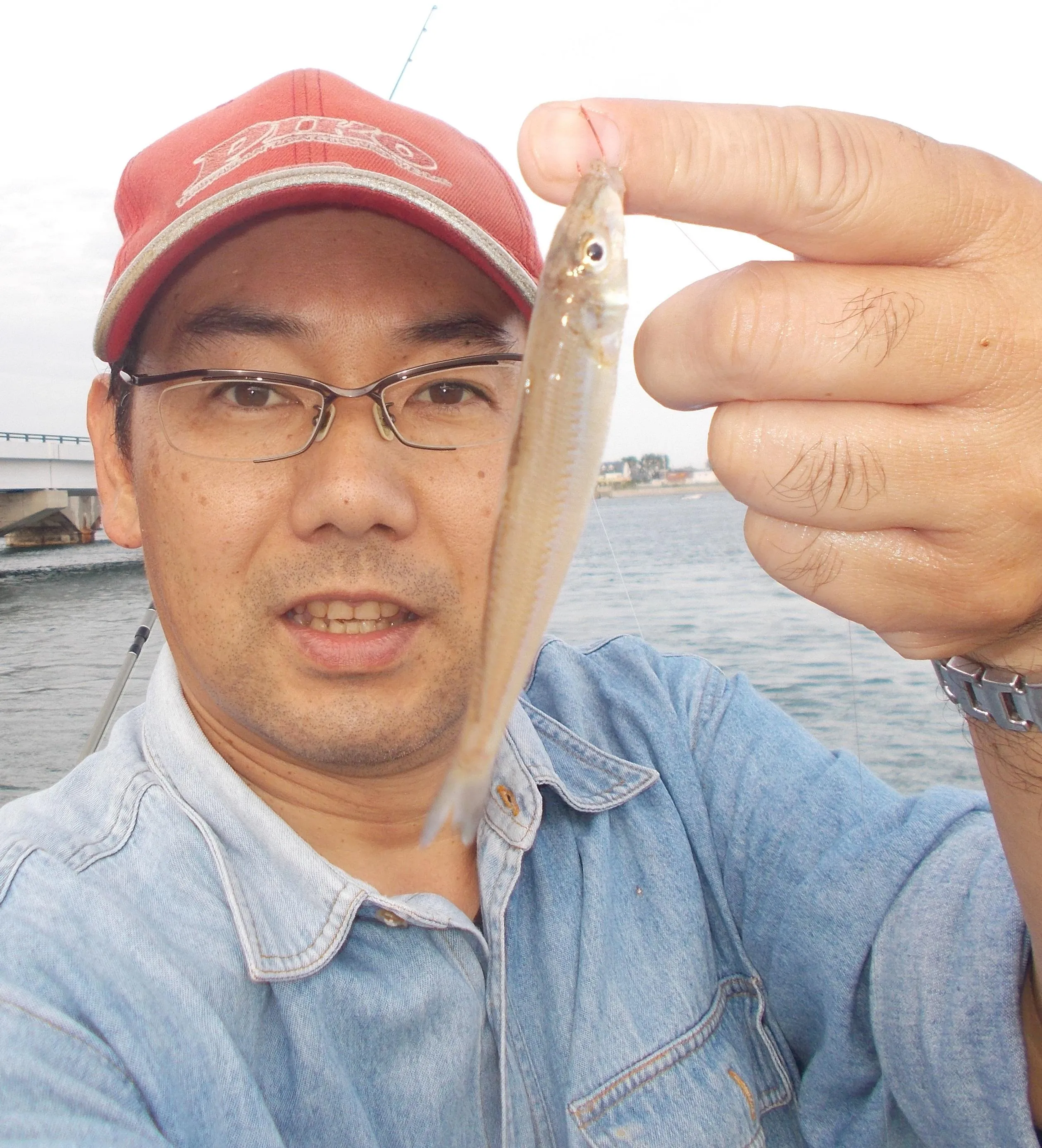 浜名湖ちょい投げキス釣れました 釣具のイシグロ 釣り情報サイト
