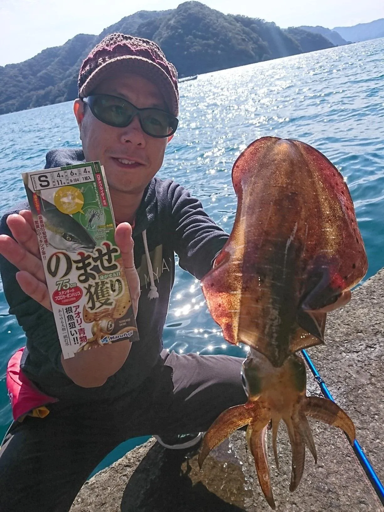 福井県産 アオリイカ19杯 3.8キロ 9/23釣行 - 魚介類