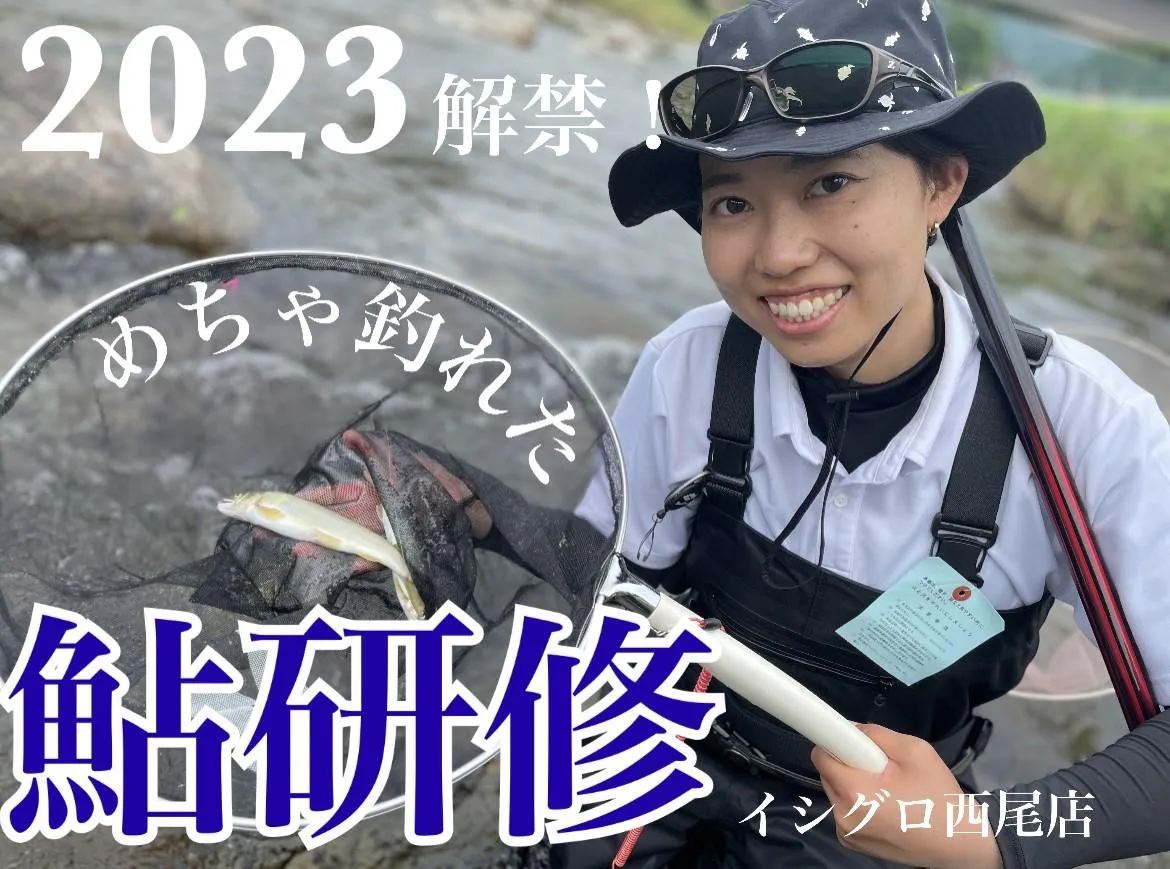 2023解禁！上寒狭川アユ友釣り｜釣具のイシグロ |釣り情報サイト