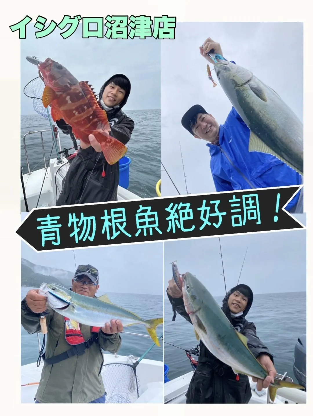 【沼津沖釣果】沼津湾内の青物・根魚シーズン開幕です