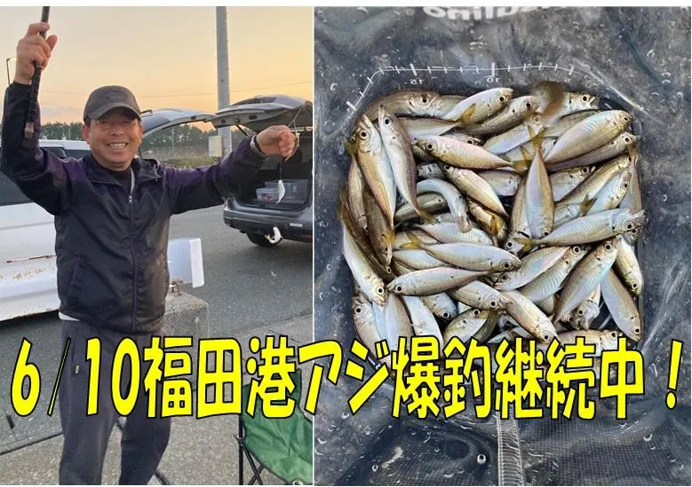 福田港サビキ釣りアジが絶好調！｜釣具のイシグロ