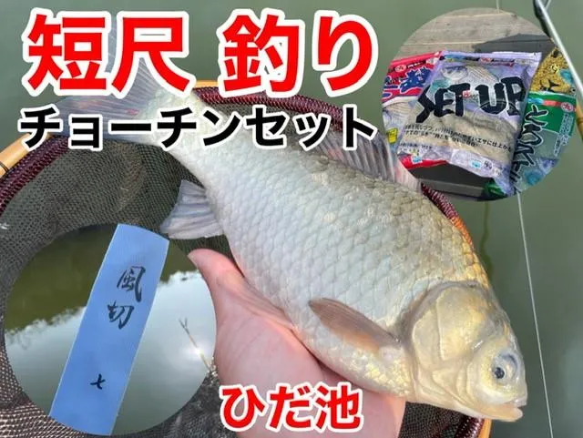 短竿で狙うへらぶな釣り。チョーチンセットの考え方とは？！｜釣具の