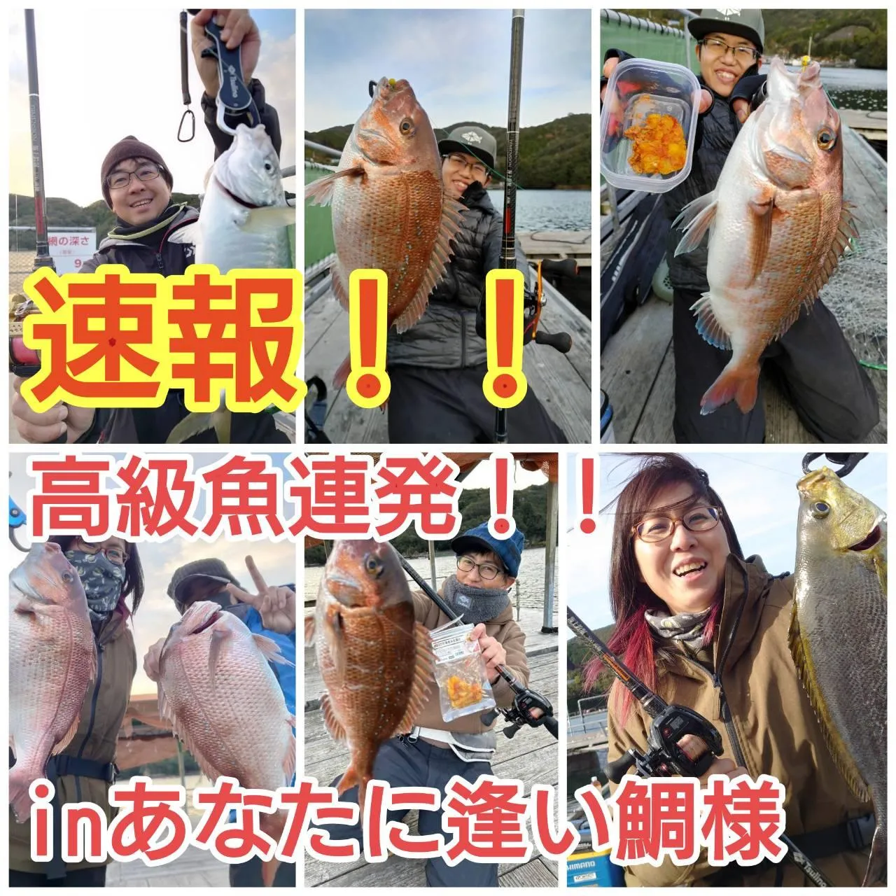 三重県 海上釣堀釣行♪ Tsulino海上釣堀NEWロッドが大活躍！！ ｜釣具