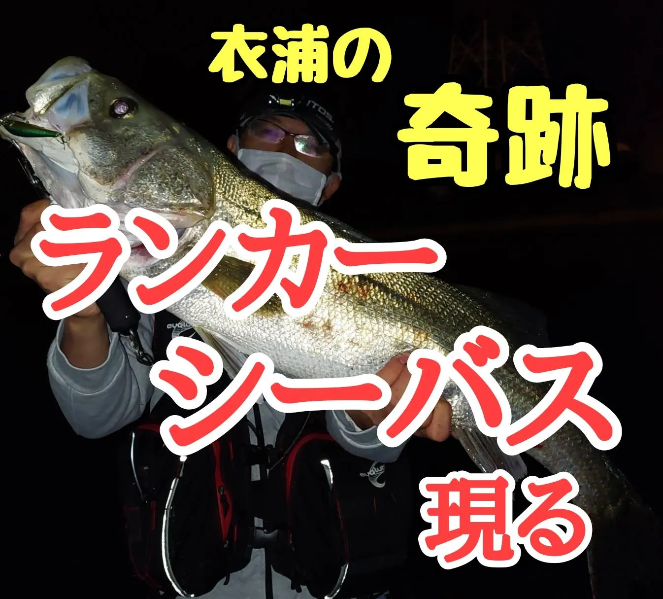 衣浦の奇跡 遂に 遂に 衣浦ランカーシーバスが出現 マイクロベイトパターンがキモ イシグロ半田店 釣具のイシグロ 釣り情報サイト