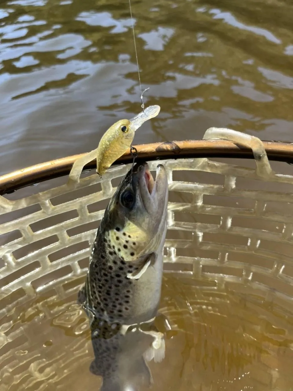 エリアトラウト 管釣り トッピングフード ダブルダッチ | www