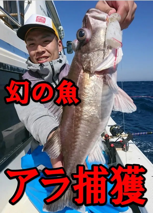 イシグロ半田店 幻の魚 高級魚アラ釣れました 釣具のイシグロ 釣り情報サイト