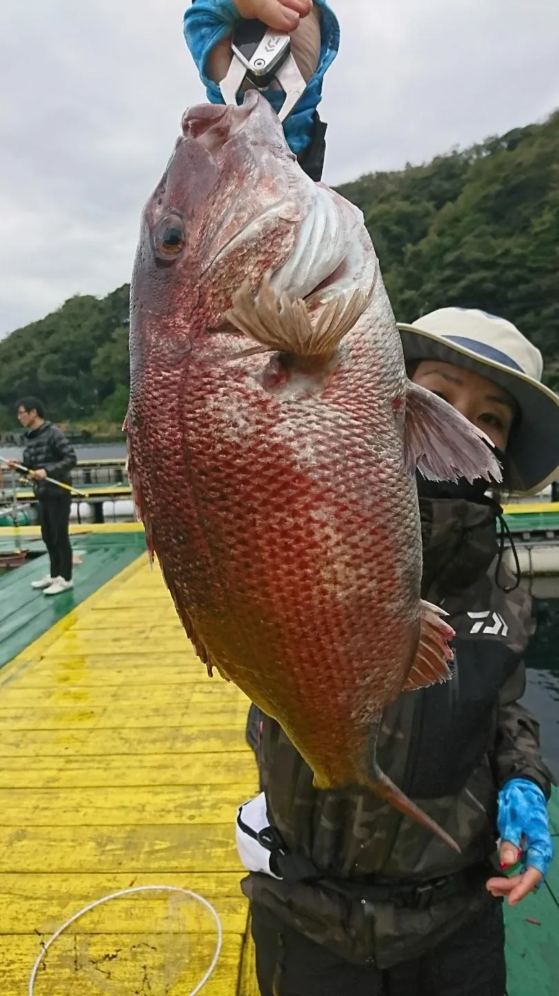 フィッシングランド日向さんは魚種豊富！｜釣具のイシグロ |釣り情報サイト