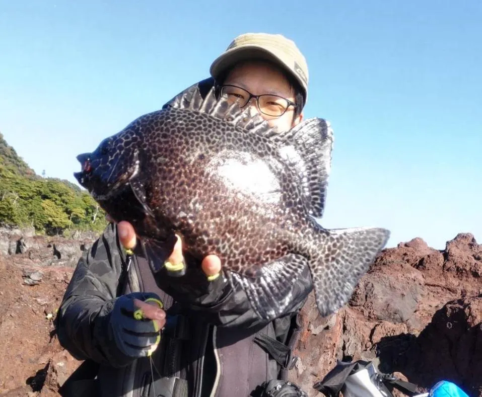 カラス貝餌での堤防足下での石鯛等、石磯竿 釣竿（和竿） 実釣未使用 - 釣り