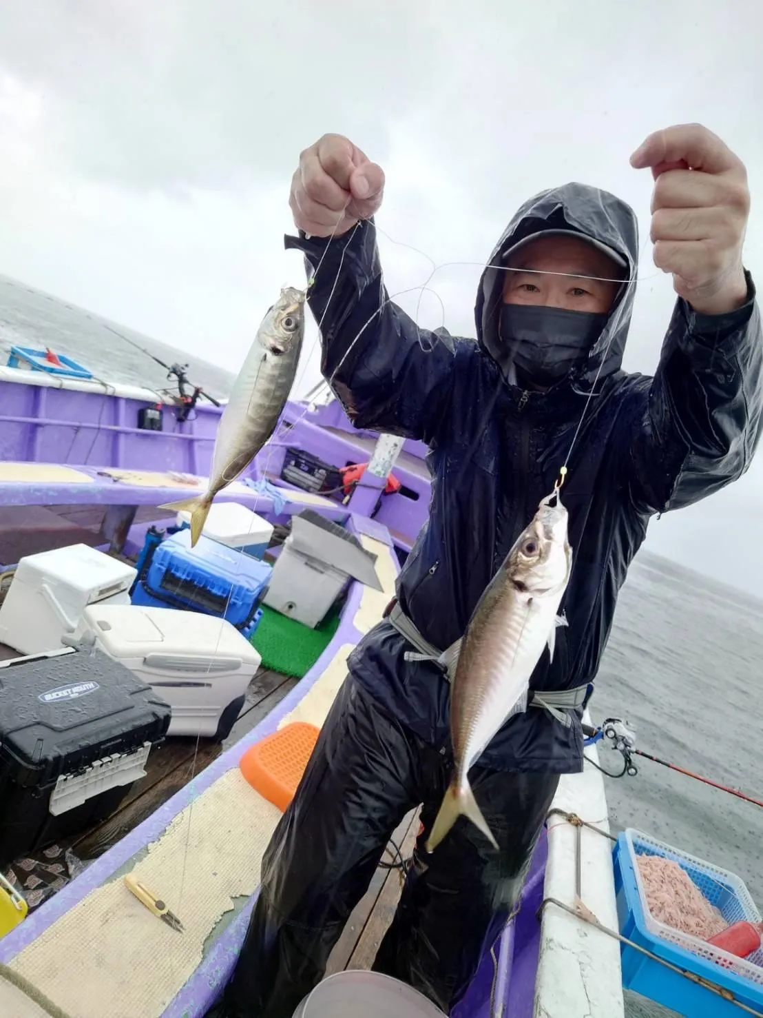 御殿場店 夏のコマセ釣りでアジ乱舞 脂ノリノリの良型アジ釣り 釣具のイシグロ 釣り情報サイト