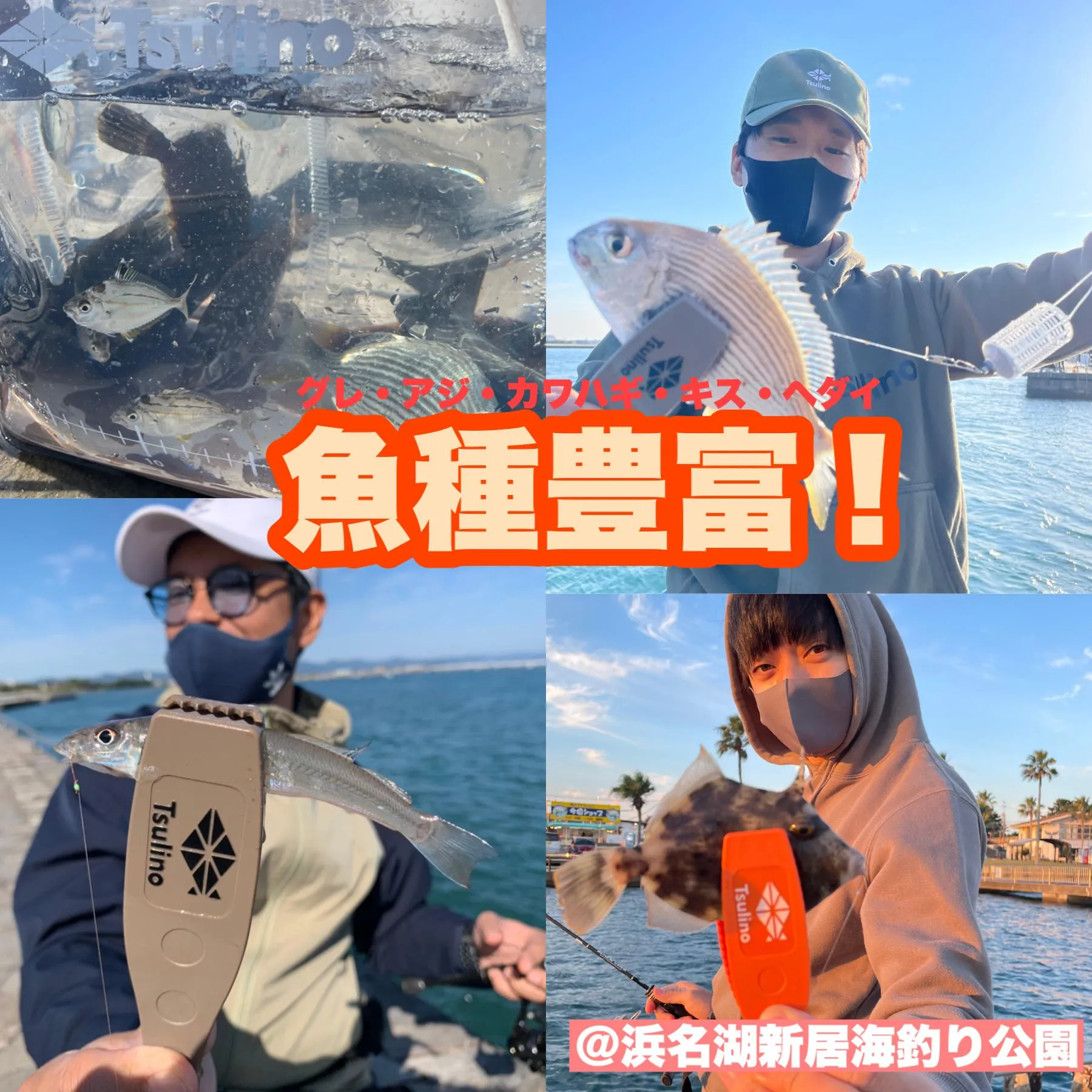 魚種豊富】浜名湖新居海釣り公園釣果速報！｜釣具のイシグロ |釣り情報