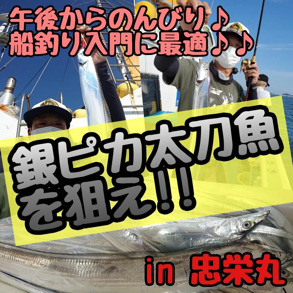 日本未発売 75 新品12本 16 タチウオに5本針 全方位死角なし サゴシ多発地帯でのアオリイカ釣り 太刀魚に効果 5本バリ5本釣針全バイト全掛け Www iwearparts Com