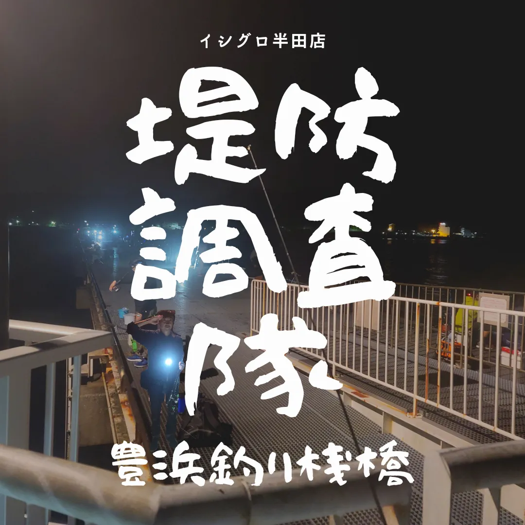 堤防調査隊 アジだけじゃない 夜でもサビキが絶好調 イシグロ半田店 釣具のイシグロ 釣り情報サイト