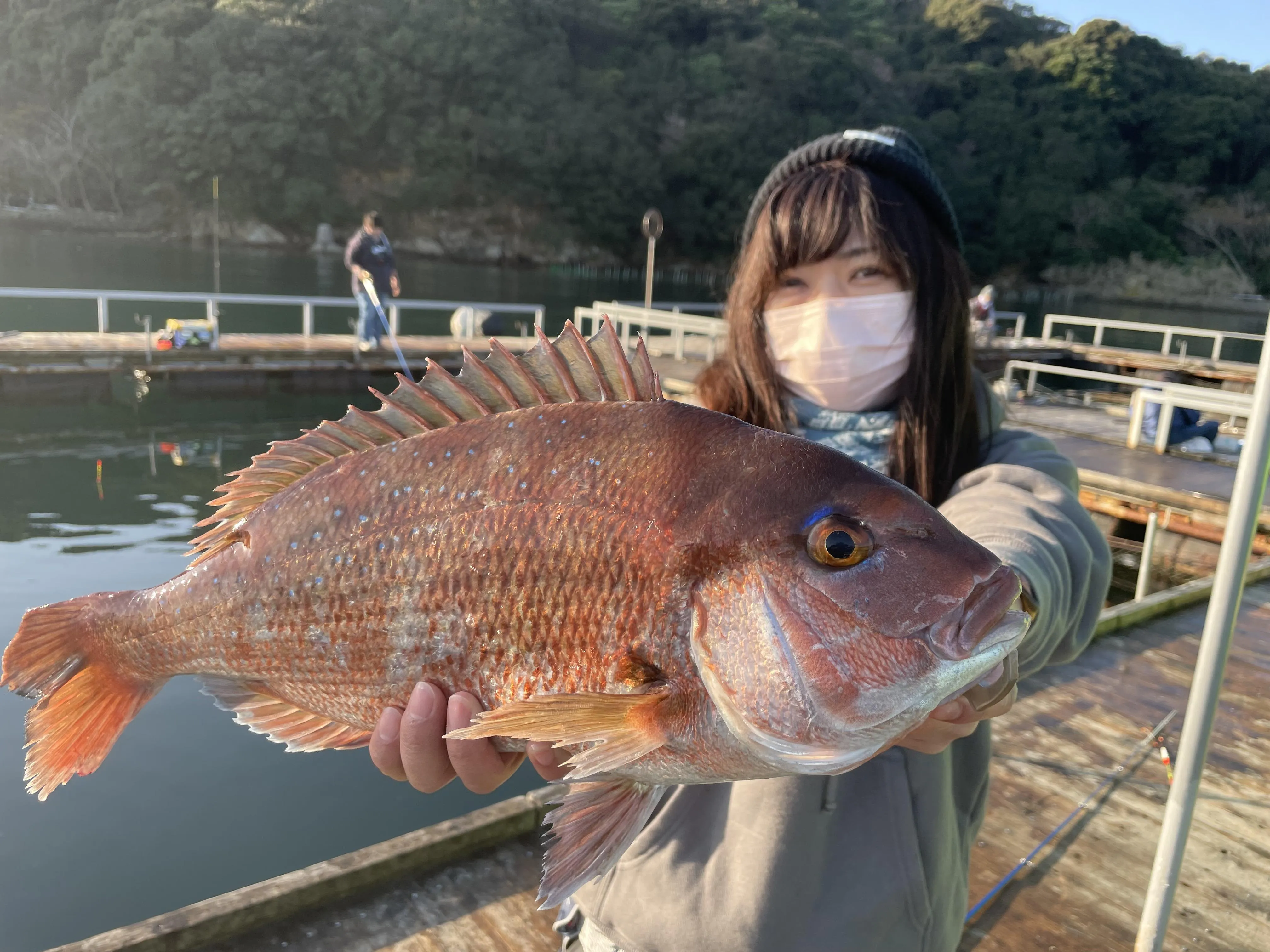 南伊勢町の海上釣堀「辨屋」で高級魚連発！年末年始は決まりっ