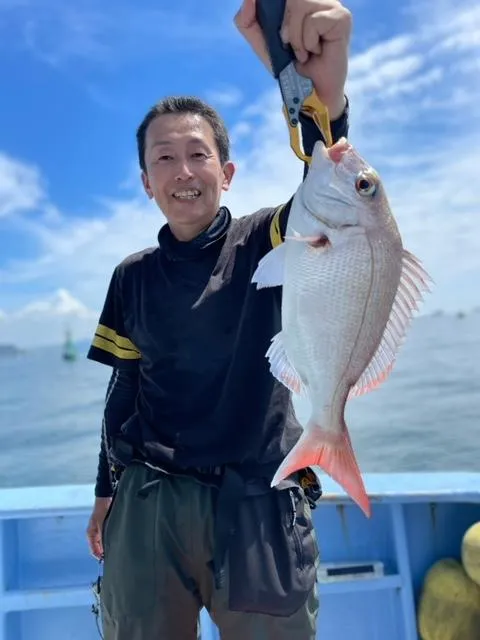 伊勢湾ウタセ真鯛、好調！｜釣具のイシグロ |釣り情報サイト