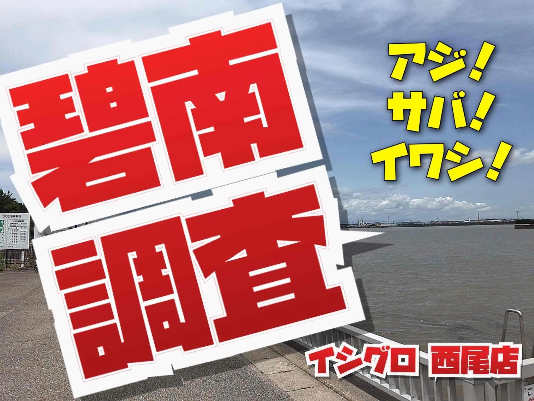 アジ サバ イワシ 碧南調査 大雨後でも釣れてます イシグロ西尾店 釣具のイシグロ 釣り情報サイト