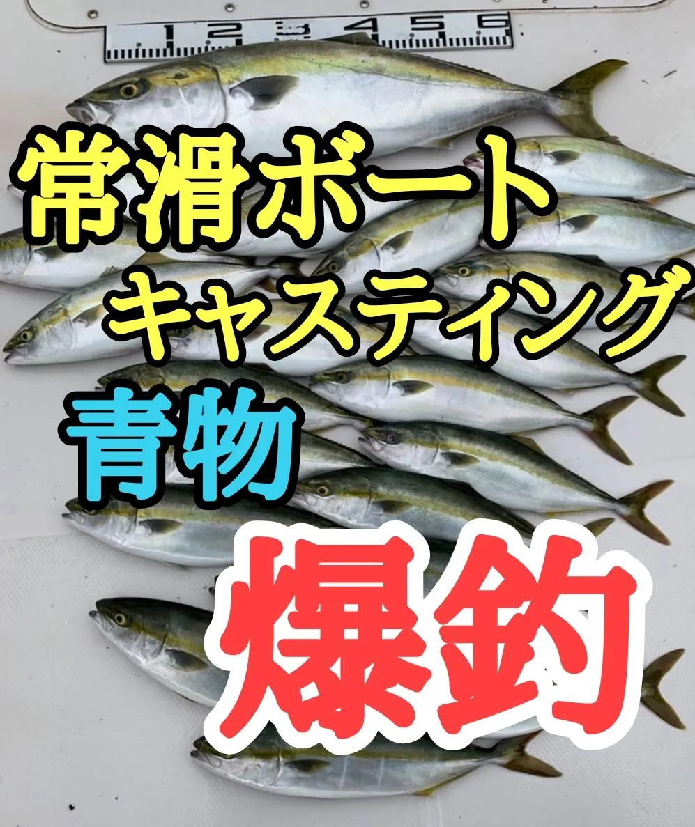 常滑沖 ボートキャスティング ブリも出ました ハマチは入れ食いの大爆釣 オフショアミノーが大活躍 イシグロ半田店 釣具のイシグロ 釣り情報サイト