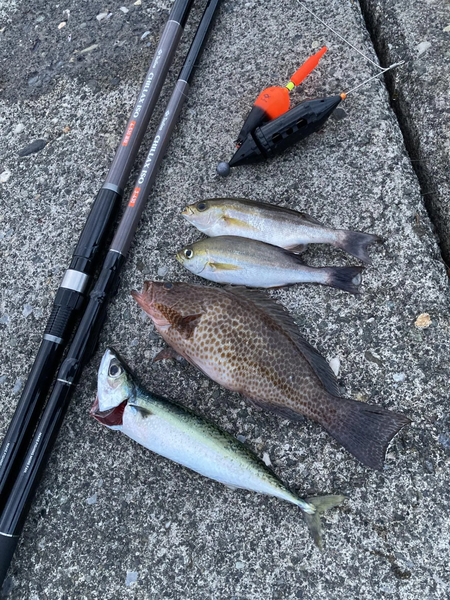 沼津堤防にて遠投カゴ釣りやってきました！｜釣具のイシグロ |釣り情報