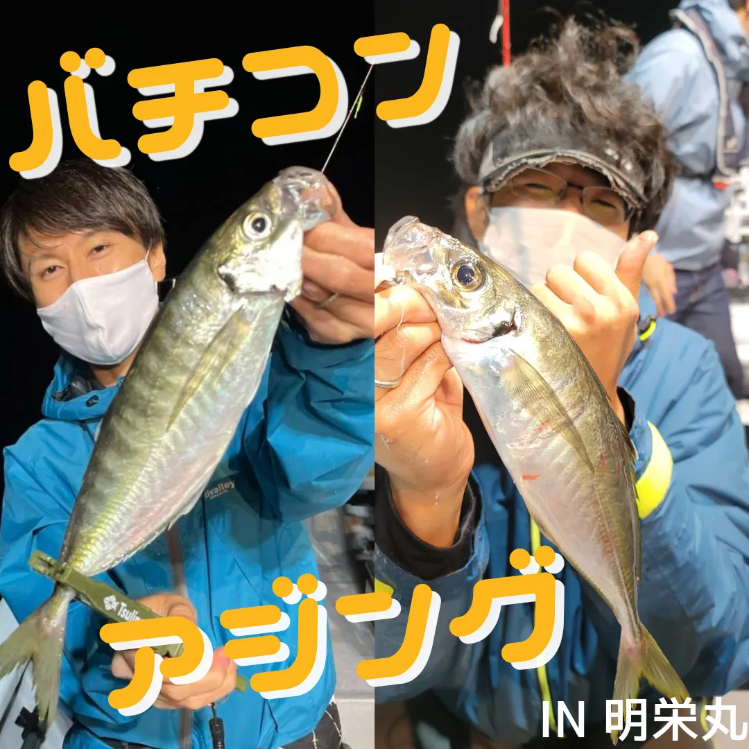 釣れればデカアジ確定 三重県バチコンアジング イシグロ半田店 釣具のイシグロ 釣り情報サイト