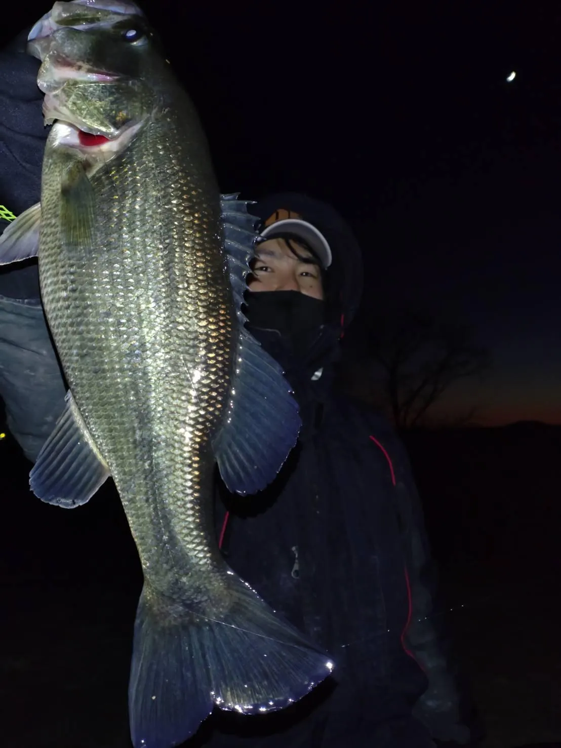 初釣りは琵琶湖でバス釣り 釣具のイシグロ 釣り情報サイト