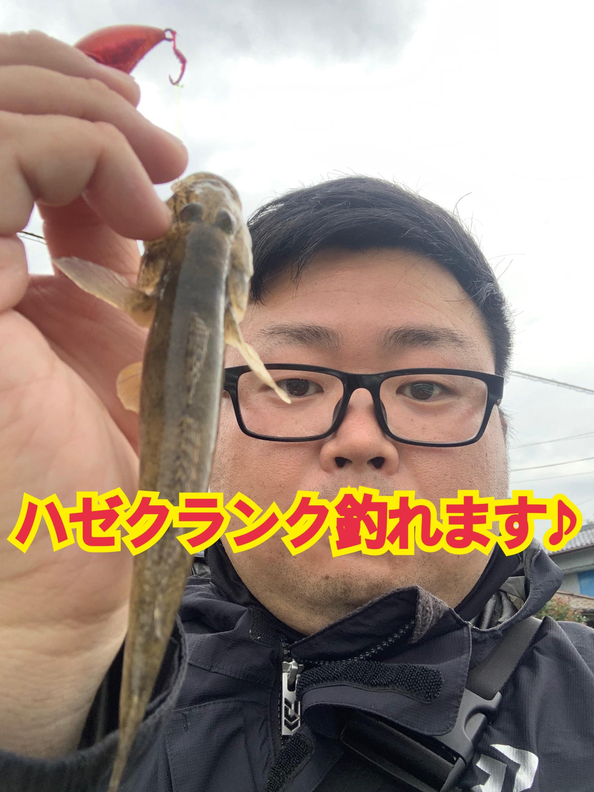 浜名湖ハゼクランク釣れています 釣具のイシグロ 釣り情報サイト