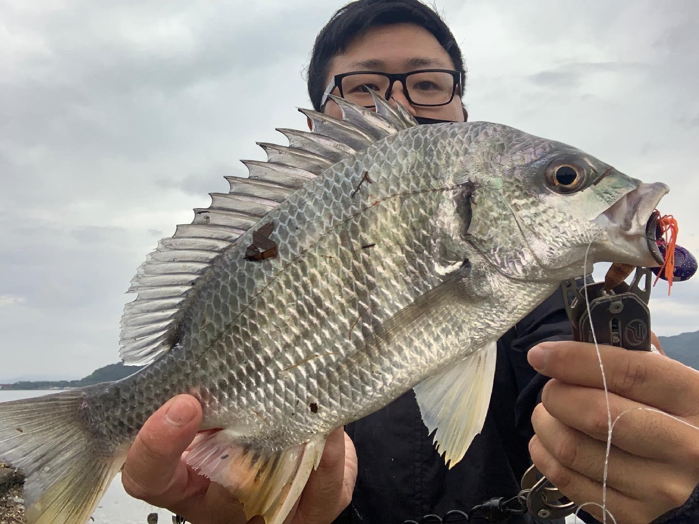 浜名湖チニング釣果 キビレ釣れました 釣具のイシグロ 釣り情報サイト