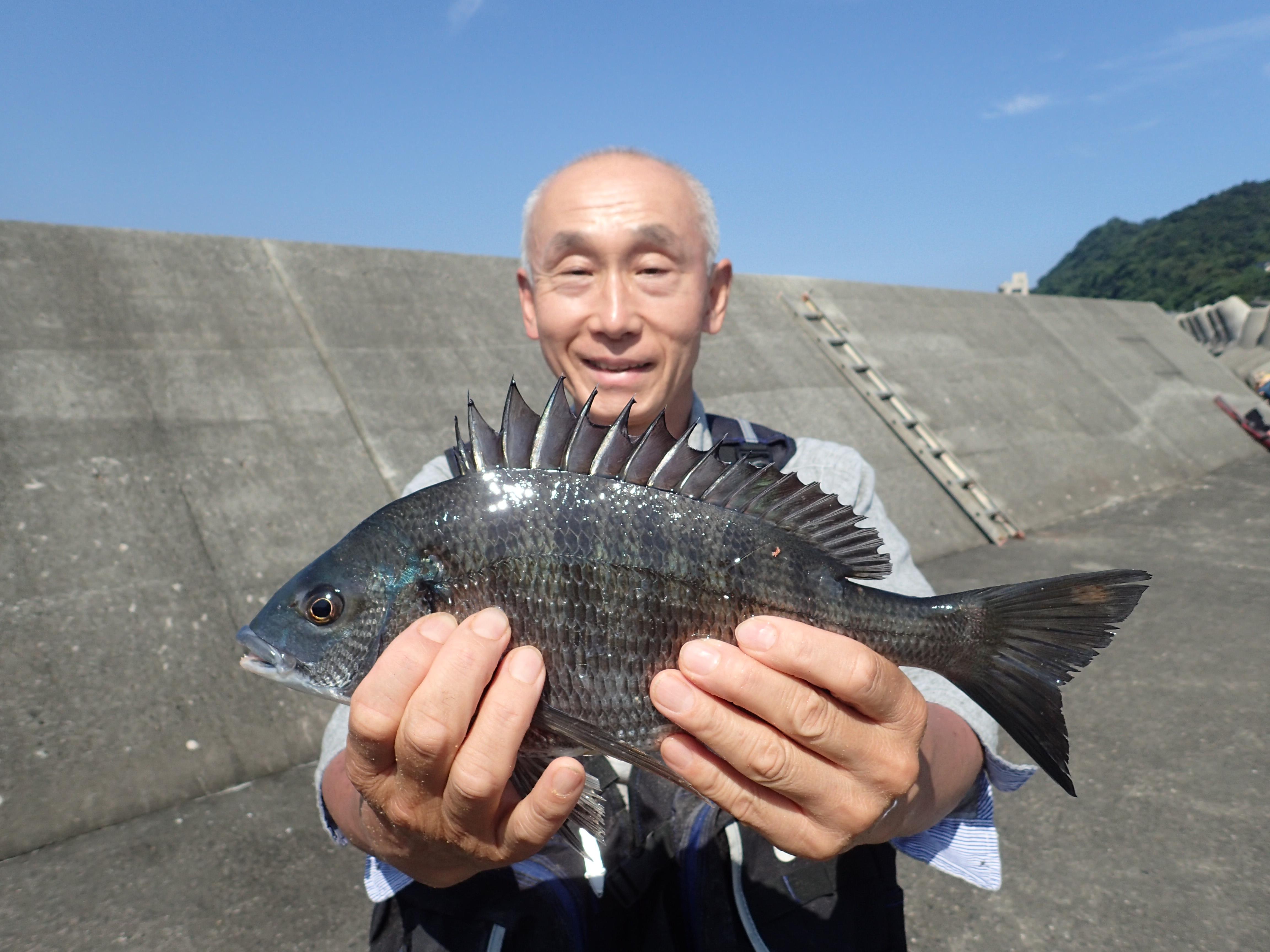 お客様黒鯛釣果情報 釣具のイシグロ 釣り情報サイト