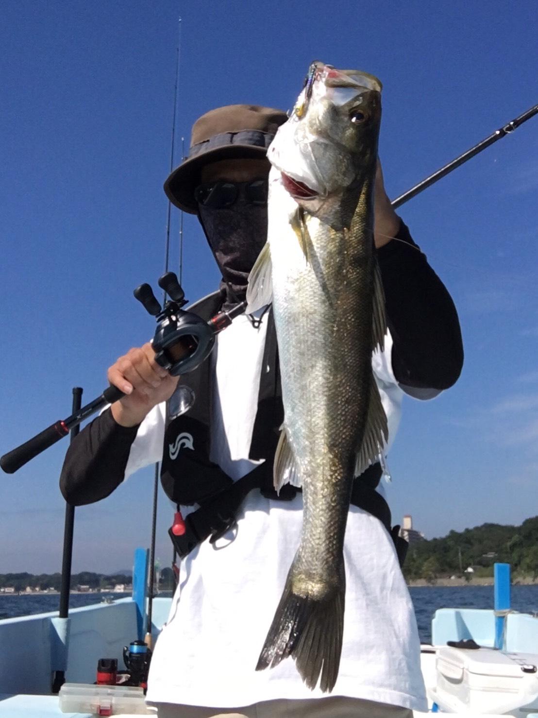 浜名湖 秋のボートシーバス釣れだしました 釣具のイシグロ 釣り情報サイト