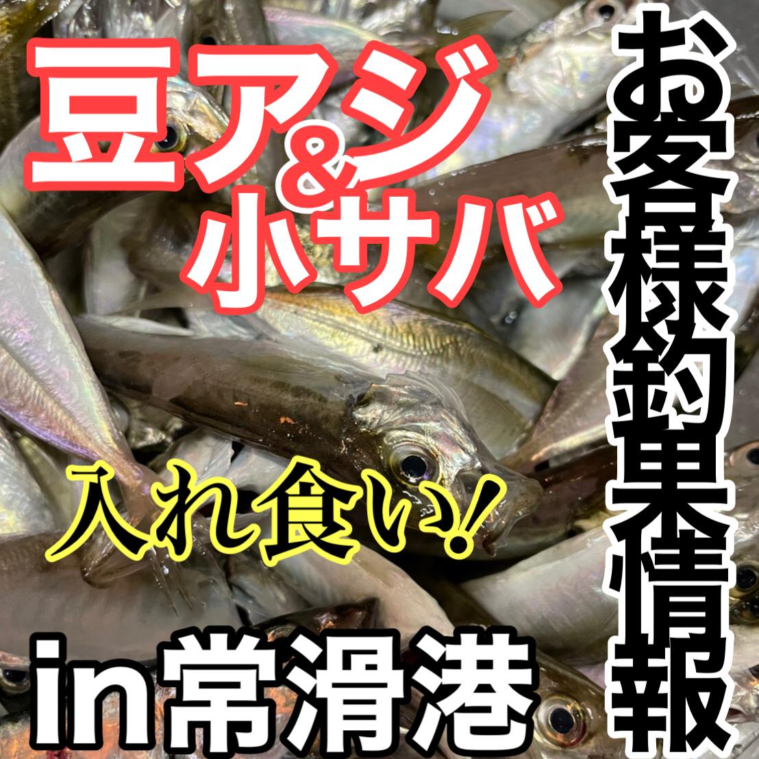 イシグロ半田店 連日絶好調 豆アジ 小サバ入れ食い In常滑港 釣具のイシグロ 釣り情報サイト