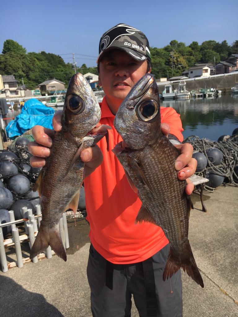 大型クロムツ釣れていますよ！