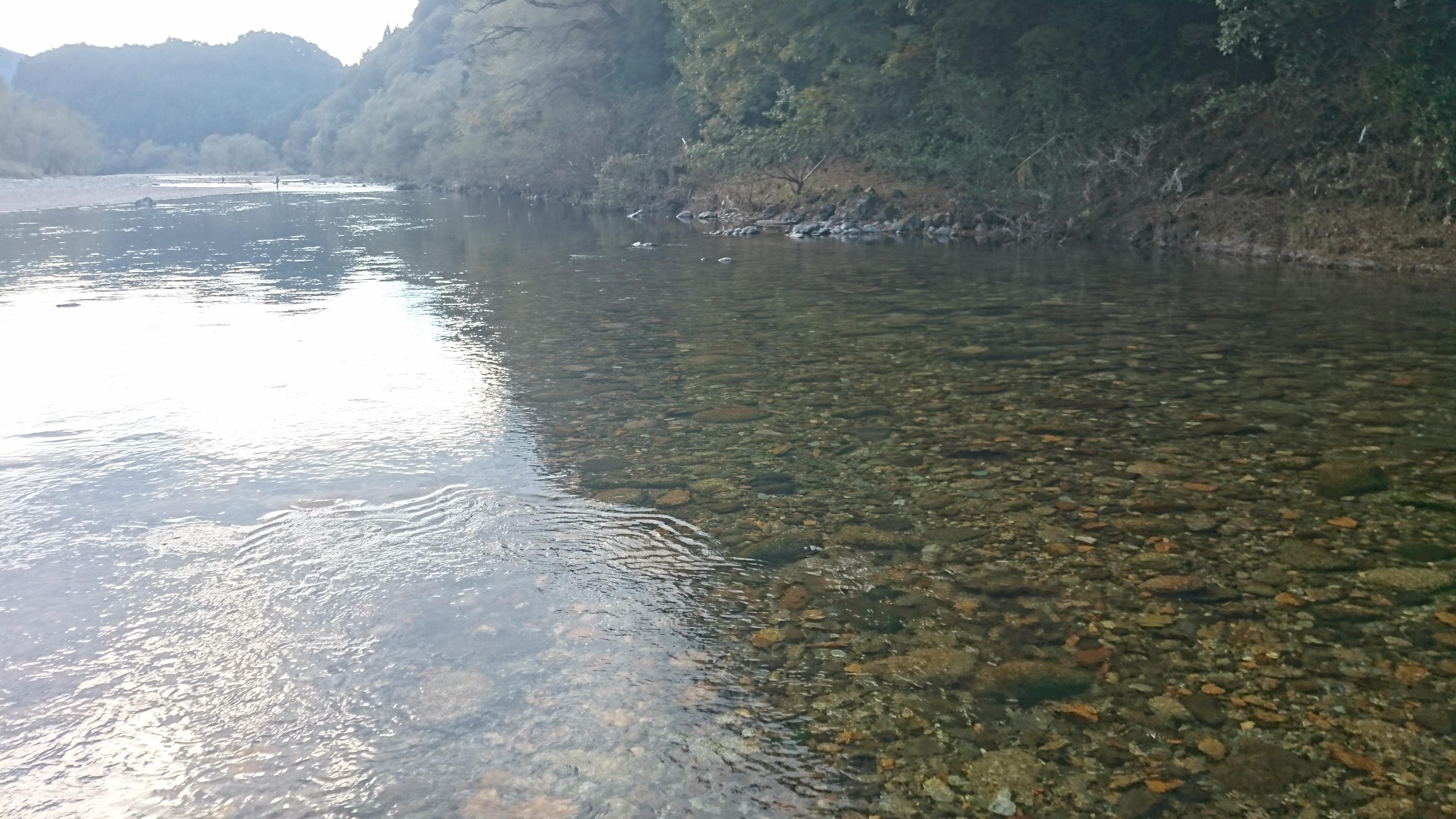 トロ場に鮎が群れになって移動してくる為、上飛ばしで丁寧に泳がせます！