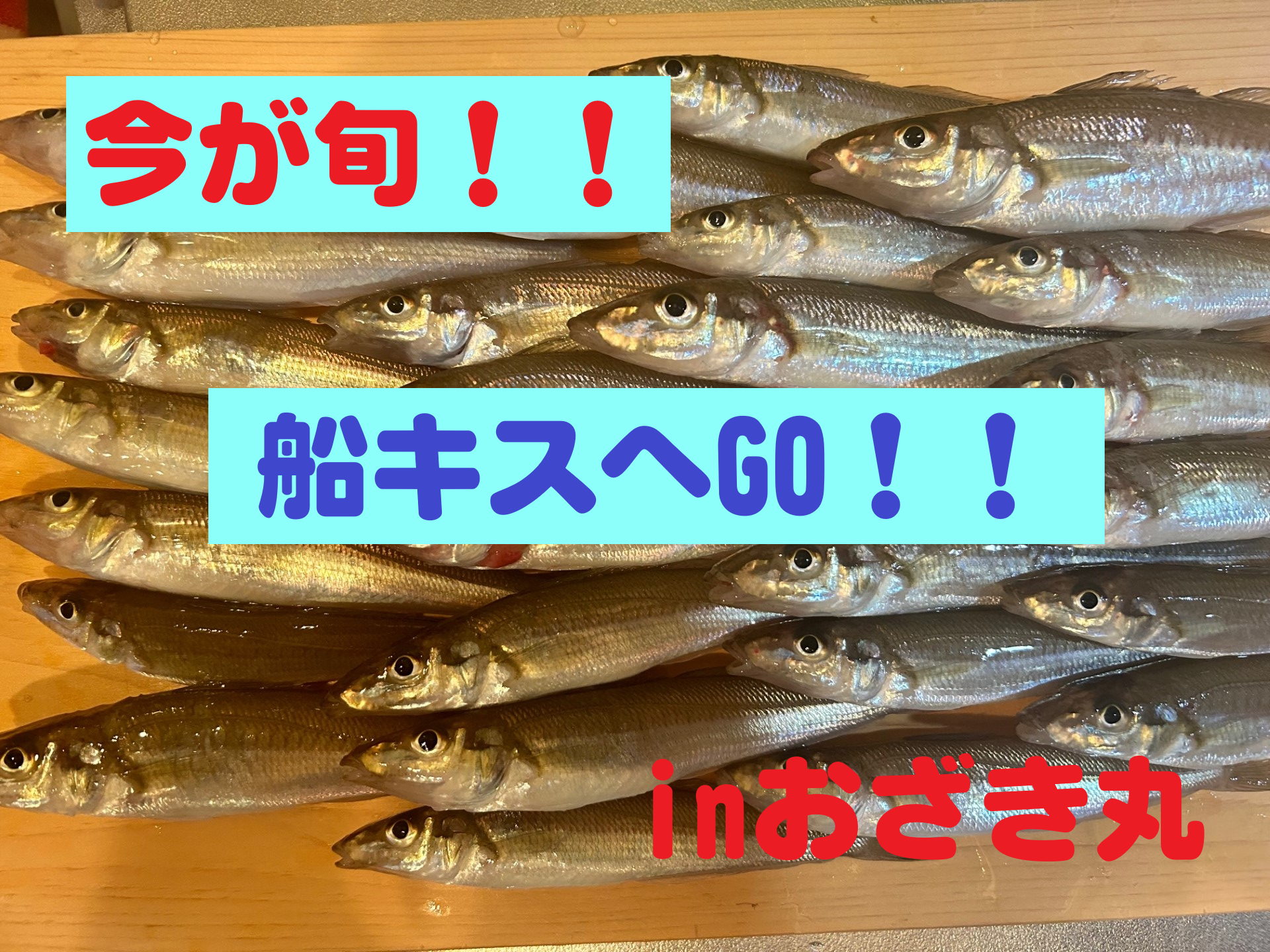 伊勢湾船キスINおざき丸｜釣具のイシグロ |釣り情報サイト