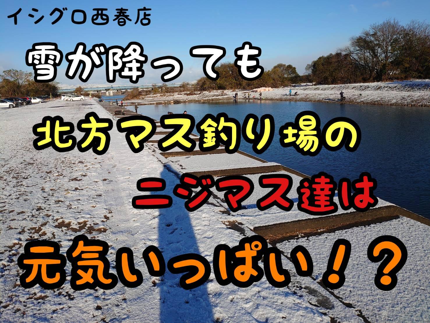 イシグロ西春店 寒い冬でもトラウトは釣れるんです 釣具のイシグロ 釣り情報サイト