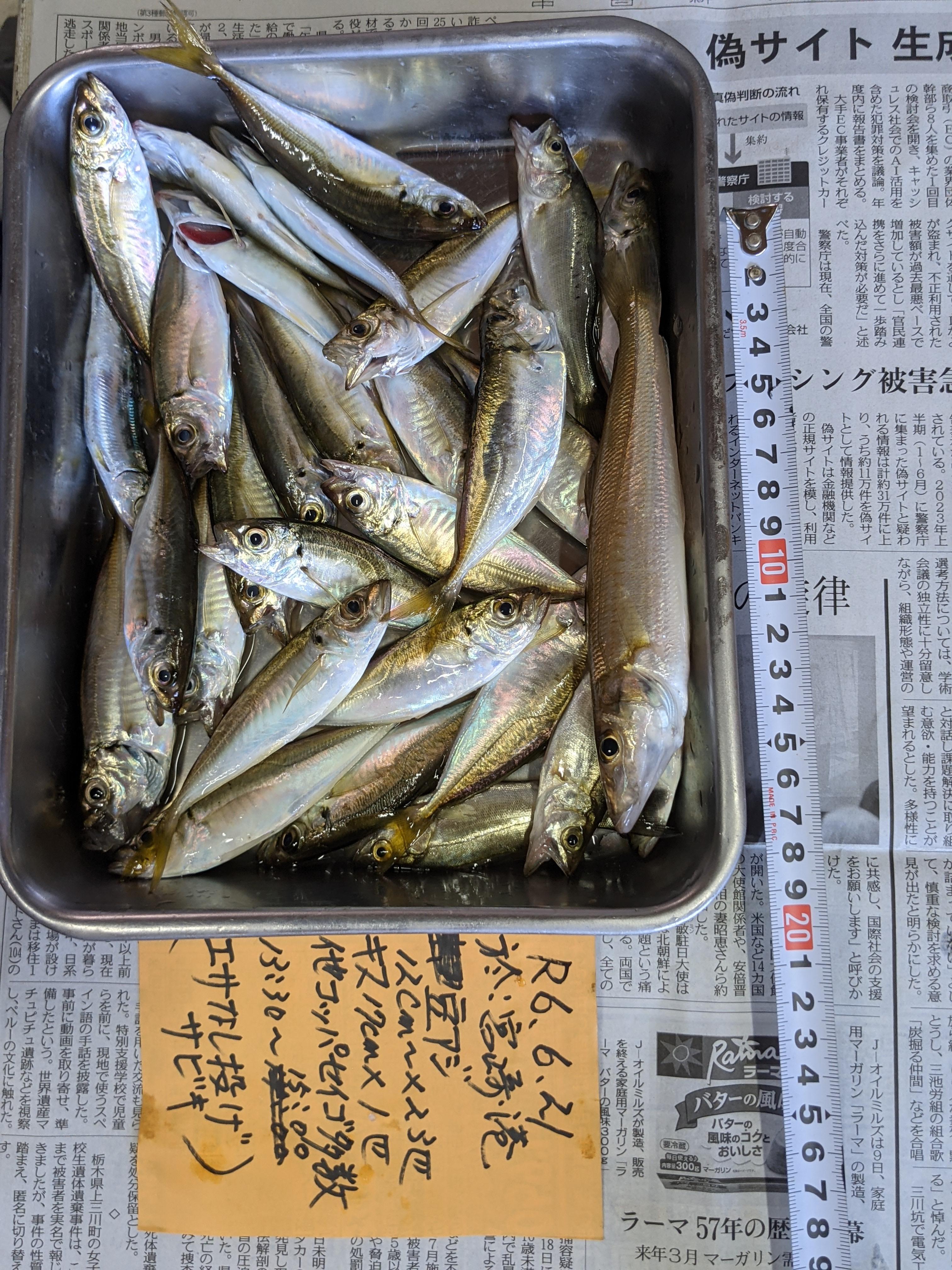 強風
エサなしカラサビキ
本日はたまたま何とか釣りになった