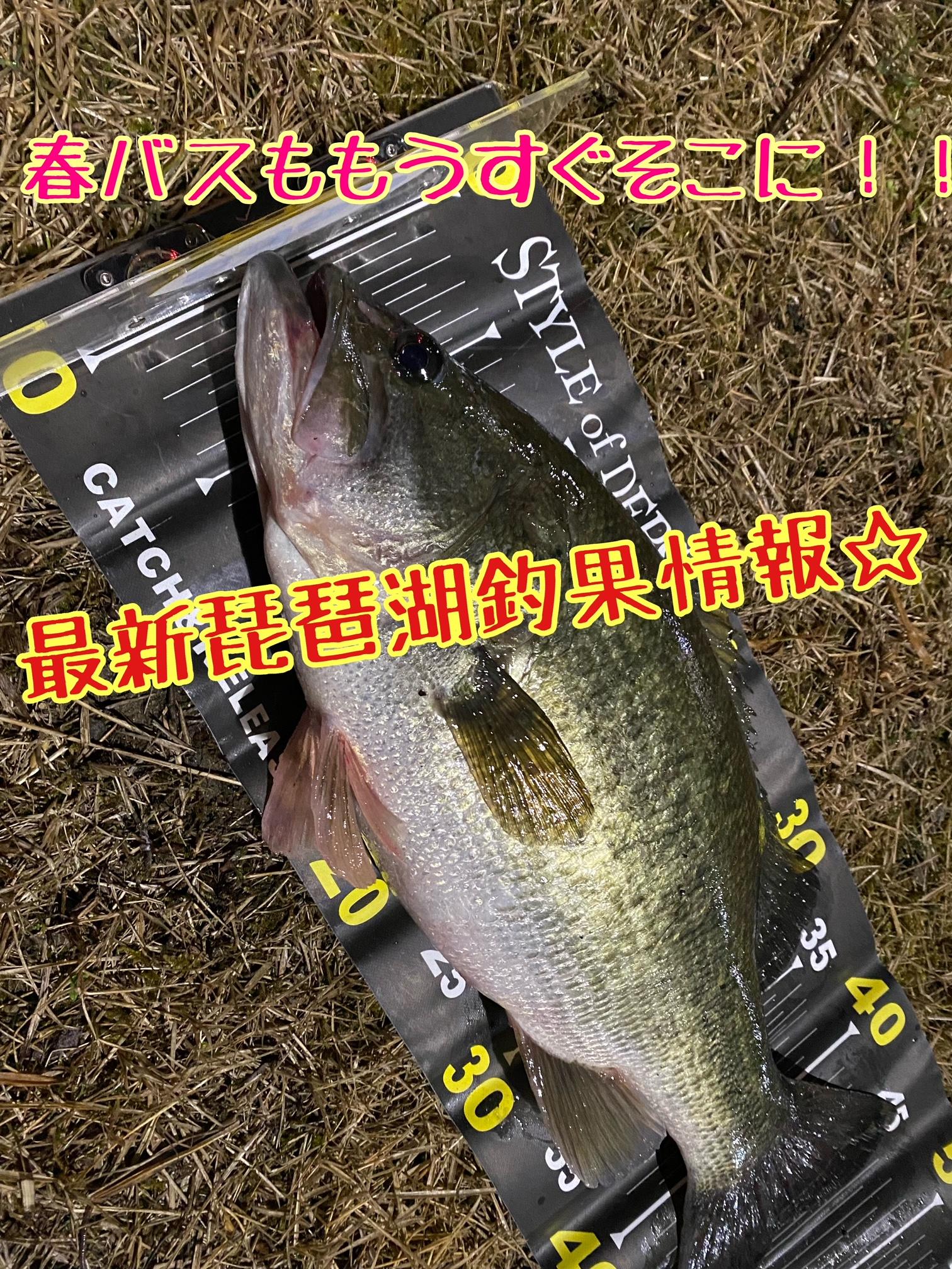彦根店 琵琶湖バス最新情報 釣具のイシグロ 釣り情報サイト