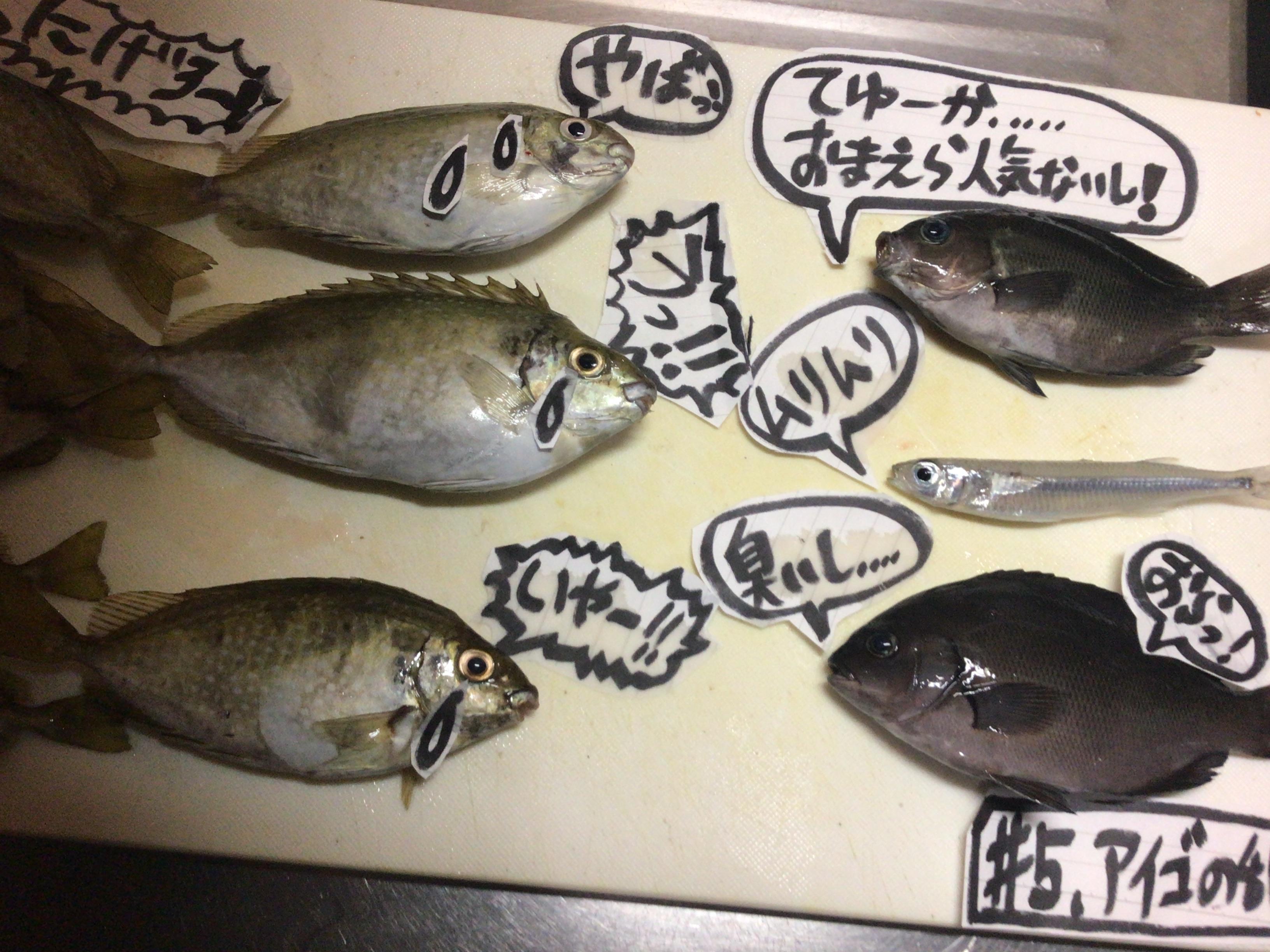 みんなで食べて減らしまショ❗️