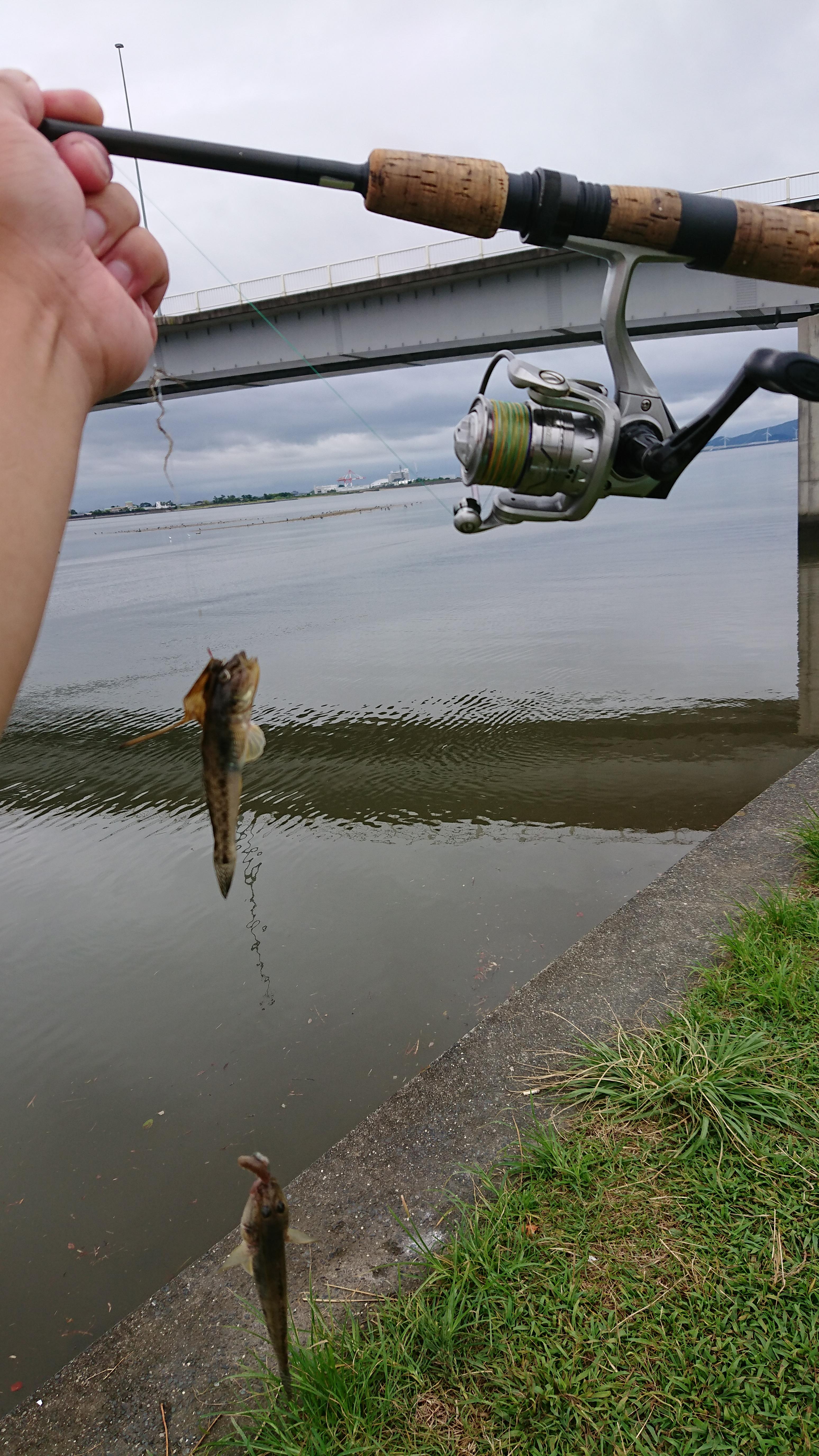 自作仕掛けにダブルヒット！魚影が濃いので数釣り期待大