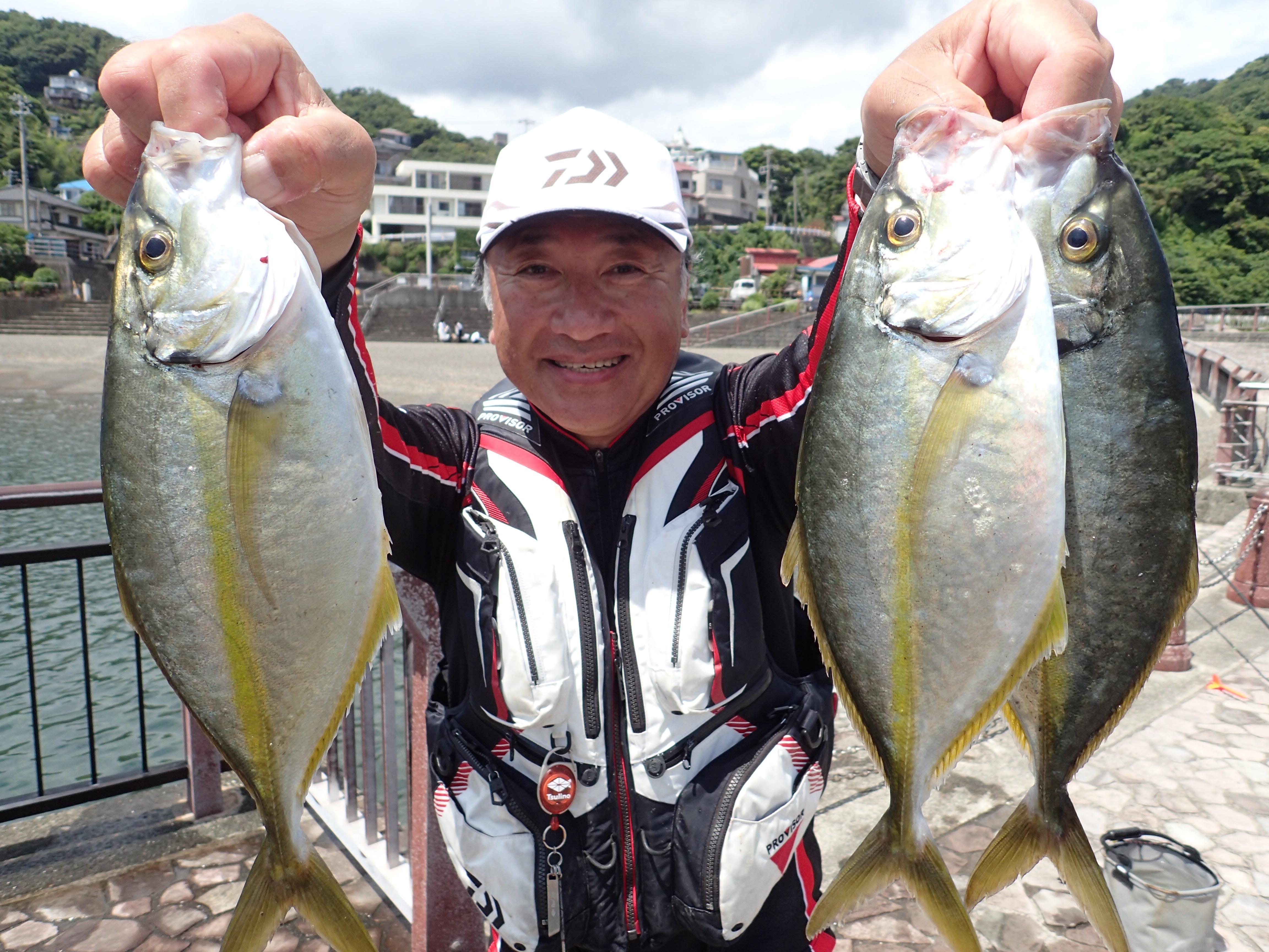 シマアジが釣れてます