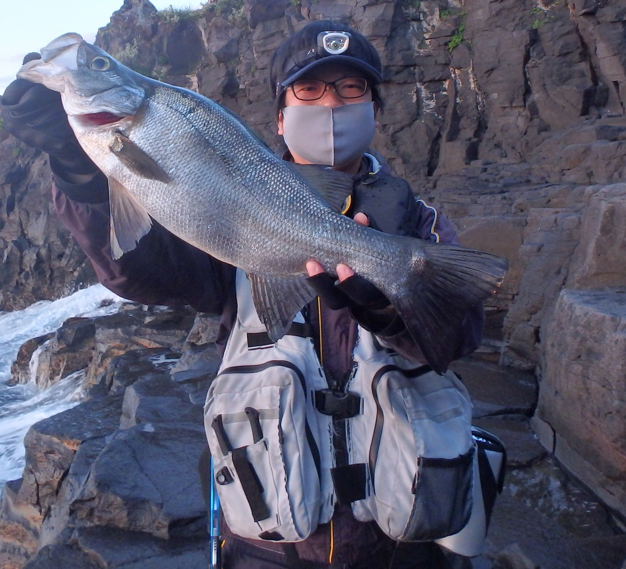 イシグロ伊東店 連日好調 某有名地磯でもヒラスズキ 今年は魚が多いですよ 釣具のイシグロ 釣り情報サイト