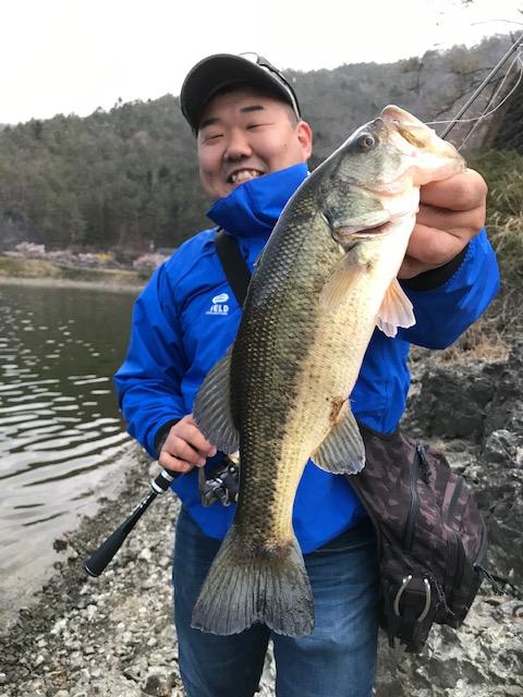 精進湖 バス 釣れ始めましたー 釣具のイシグロ 釣り情報サイト