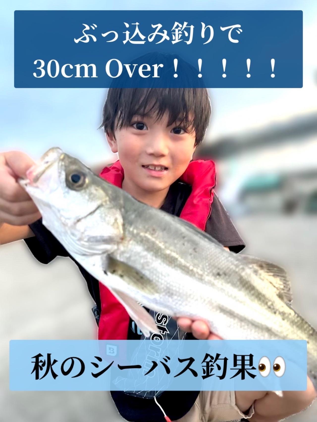 30㎝Overのセイゴをゲット！！！
低学年のお子様でもビックサイズが釣れます(^^)