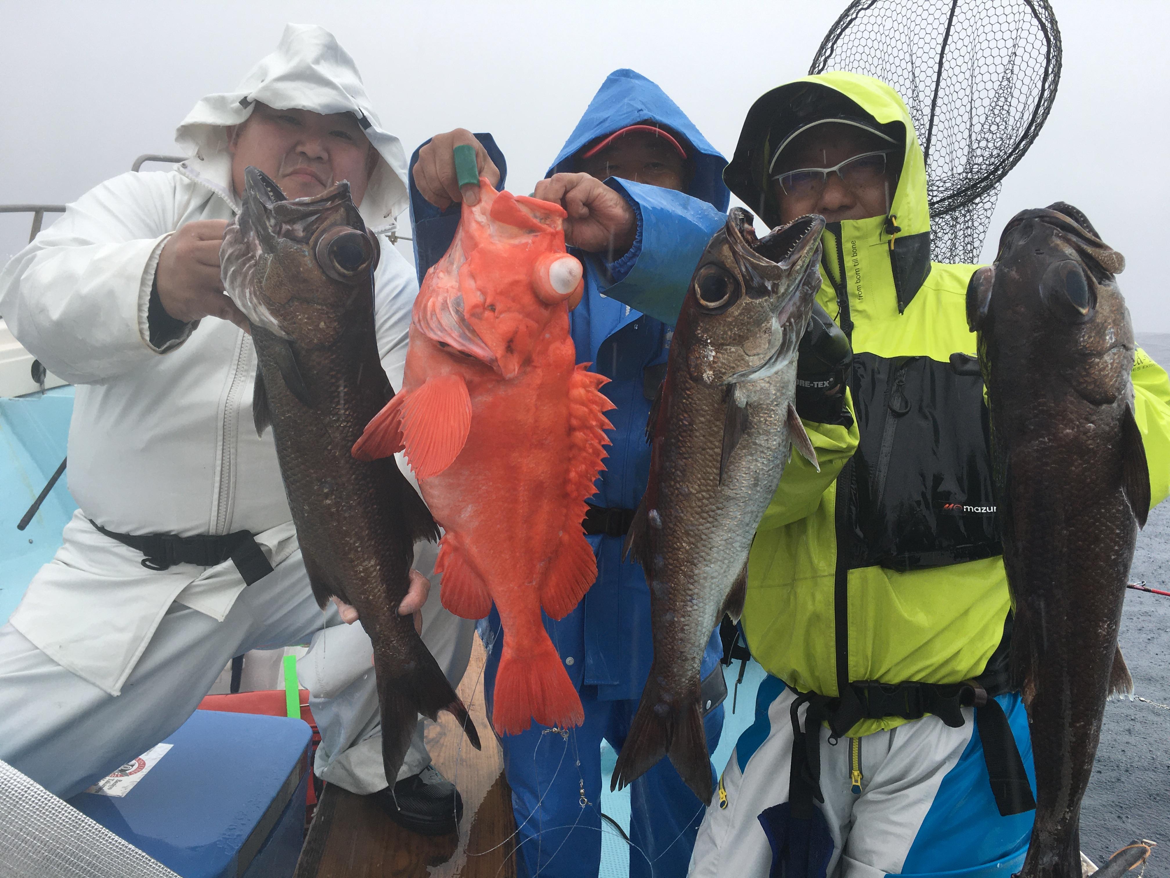 大型根魚祭り 駿河湾 深海魚 遊漁船 大宝丸 釣具のイシグロ 釣り情報サイト