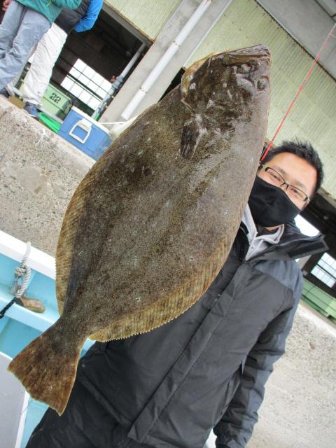 こちらのお連れ様は電動貸し竿で越冬肉厚ごーはんOverビラメを釣りましたよッ(ﾟ∀ﾟ)