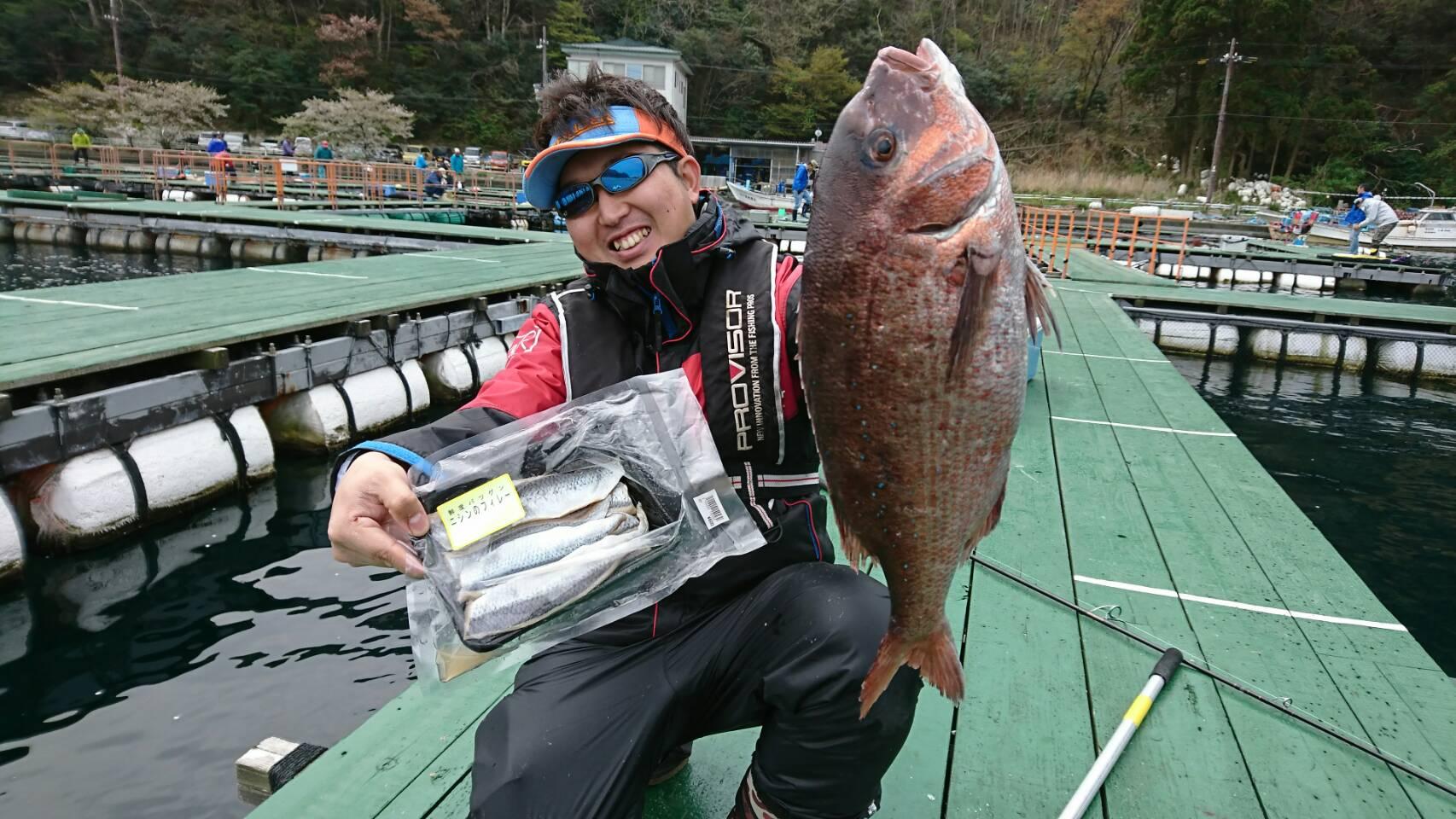 ｢これ！これ！ニシン｣、マダイに最強でした！！