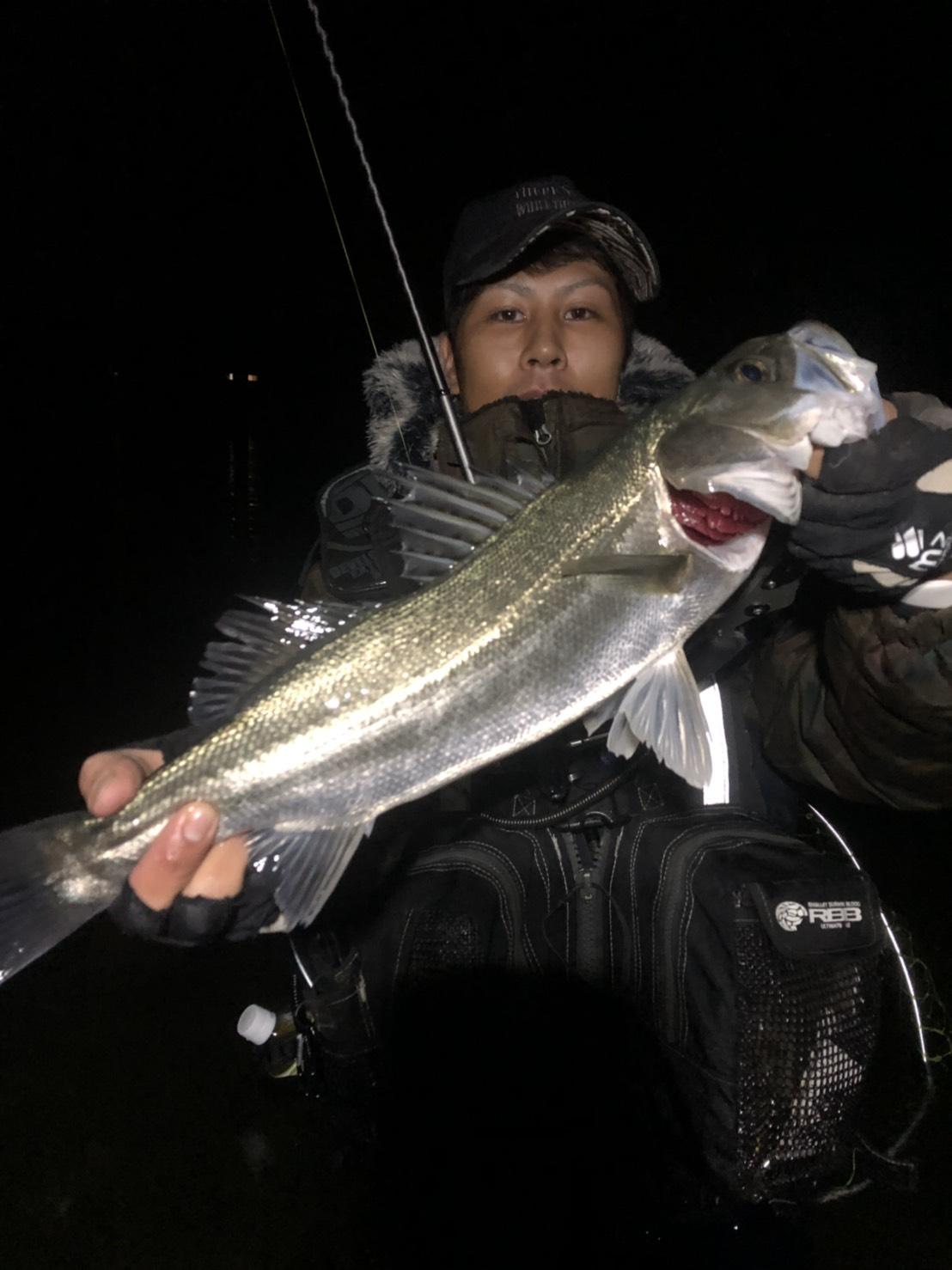 奥浜名湖の春シーバス好調 釣具のイシグロ 釣り情報サイト
